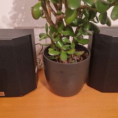 JBL Speakers