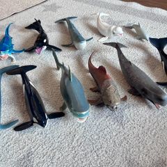 Whales and sharks