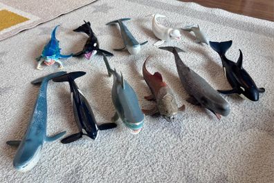 Whales and sharks