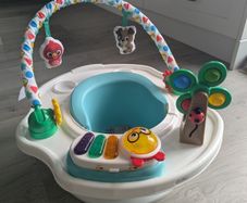 Baby Einstein Baby Booster Seat