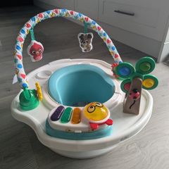 Baby Einstein Baby Booster Seat