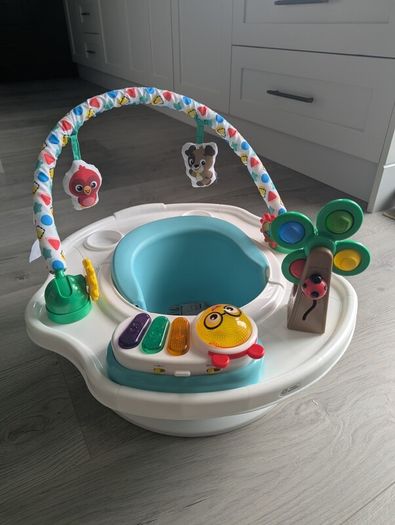 Baby Einstein Baby Booster Seat