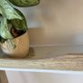Beautiful ladder style desk Image 6