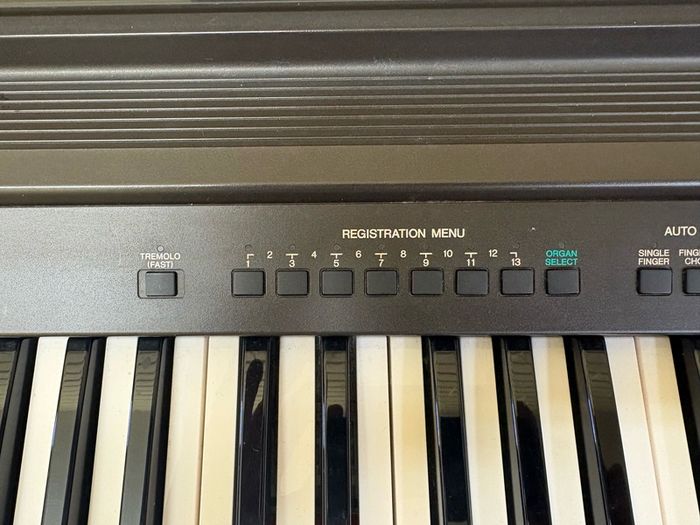 Organ