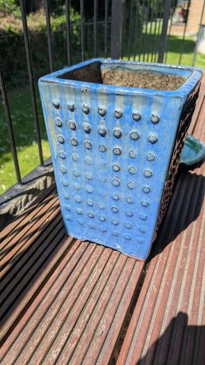 Blue Flower Pot