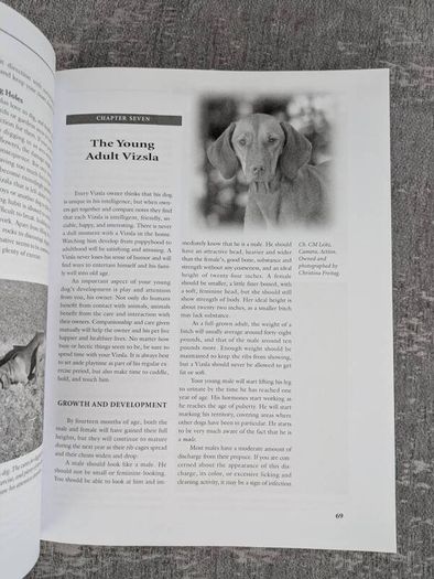 Versatile vizsla