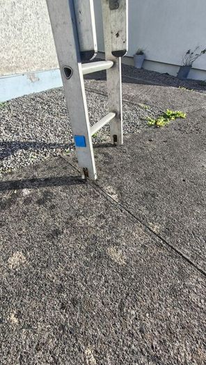 Ladder 3 Section
