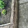 FREE - Concrete Garden Edging - 4 pieces Image 3