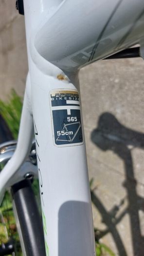 Lapierre Audacio 300 Road Bike - Shimano Sora - Size L/56cm - Fully Serviced - Excellent Condition