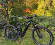 Giant Trance E+ 2 Pro