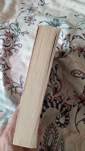 Terry Pratchett -  Hogfather Discworld 20