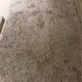 large Rug Image 2