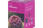Aqua-Art VivoVerde MicroTerrarium
