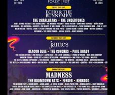 Price Drop.. final one!! forest fest weekend ticket plus children free