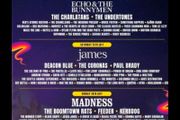 forest fest weekend adult plus 3 children free