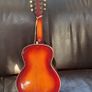 Mandocello and Hoyer Mandolin Image 9
