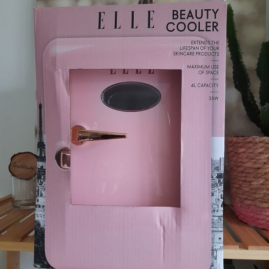 Mini fridge