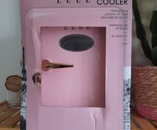 Mini fridge