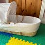 Moses Basket Image 2