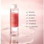 REN Clean Skincare Perfect Canvas Smooth, Prep and Plump Essence 100ml Image 4