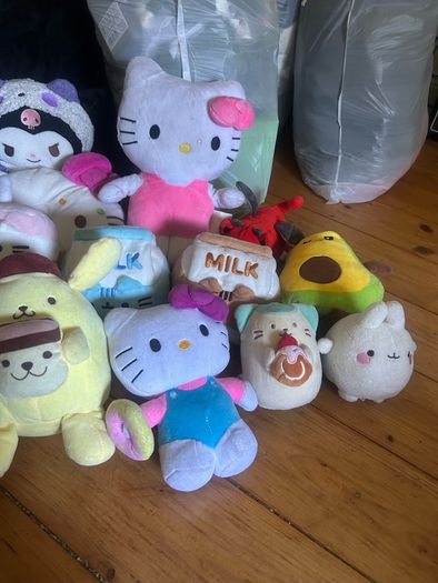 licensed sanrio, pusheen plushies (and extra)