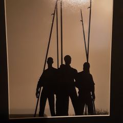 mounted wexford picture's x 3