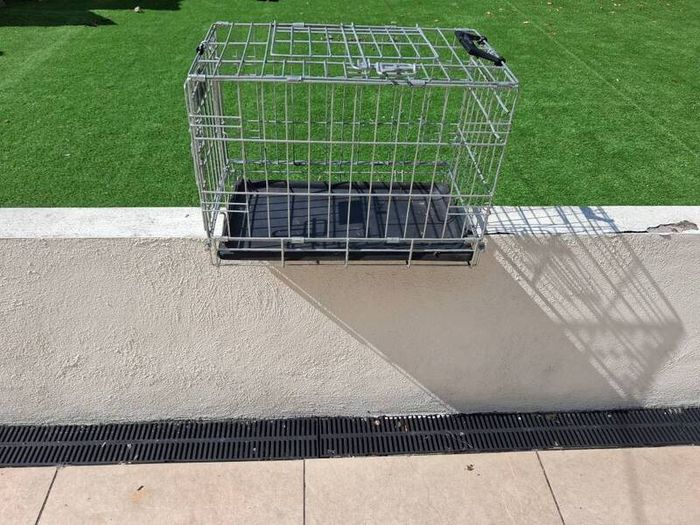 dog cage