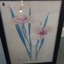 Various botanical Pictures Image 6