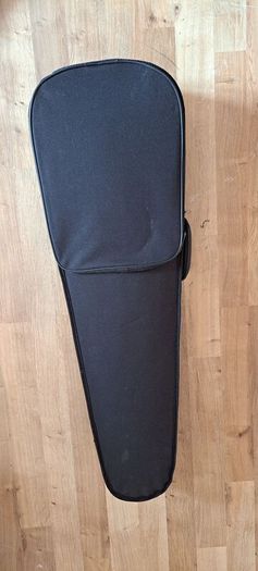 Beginner Violin and black case