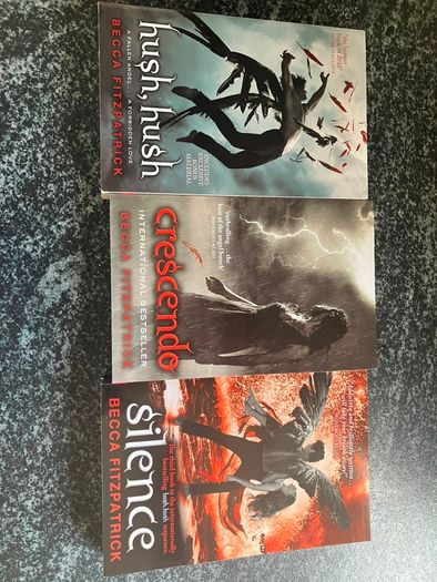 YA book bundle