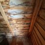 Timber shed free Image 5