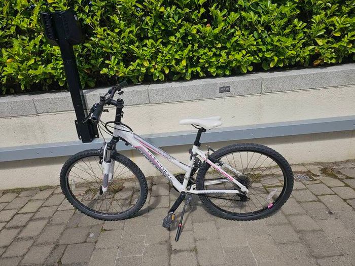 teen girl 24 mountain bike