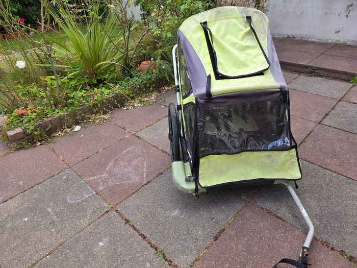Double Child Bike Trailer