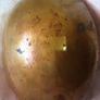 Vintage Brass snuff box Image 5