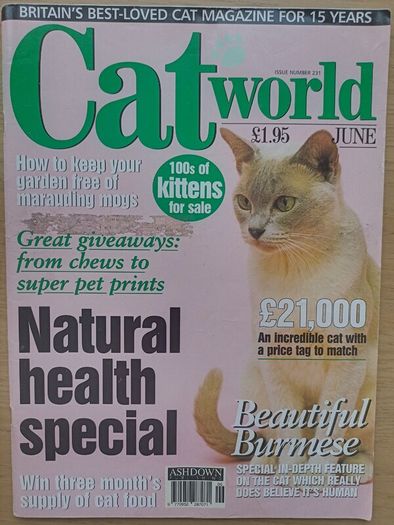 Cat World