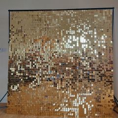 Party Shimmer Gold Backdrop 8x8 Rental