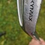 Golf Bag Kids Image 8