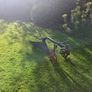Antique horse drawn Plough Ransomes, Sims & Jefferies, Ipswich,. Image 2