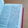 Collins Pocket German dictionary Image 3