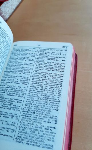 Collins Pocket German dictionary