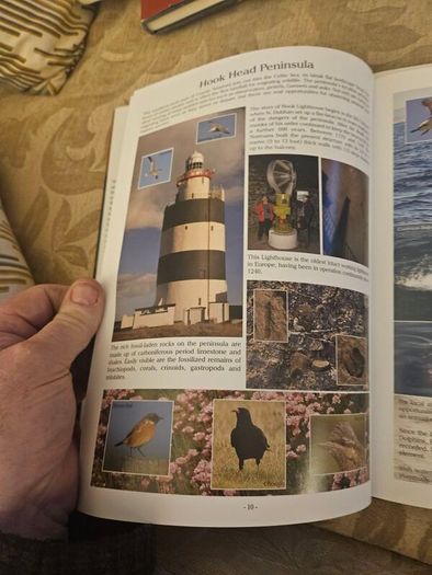 Wexford's Wild Heritage. By Alan Maguire- Christopher J. Wilson- Don Conroy. First Edition Large Volume Hardback With Dustjacket In Good Condition.  See Photos For Same.