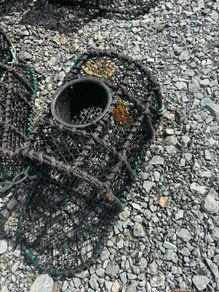 Spider pots