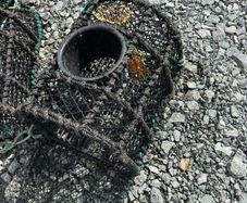 Spider pots