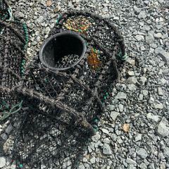Spider pots