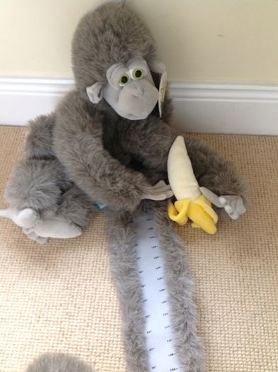 Monkey Height Measuring Wall Hanger