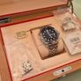 Omega Seamaster Diver 300 Image 2