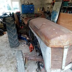 Ferguson 20