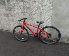 Kids Bike Red Frog 69