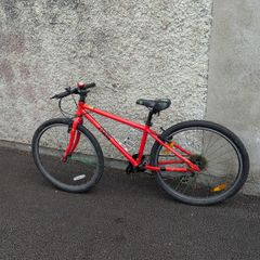 Kids Bike Red Frog 69