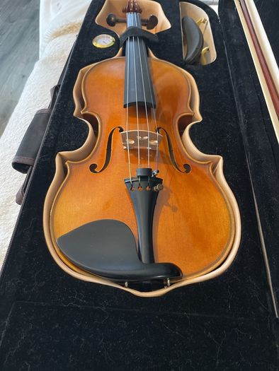 Violin and viola strings